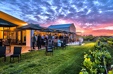 Angove Family Winemakers Sunset